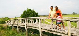 A photo of a family on a small wooden bridge looking out into the marsh.